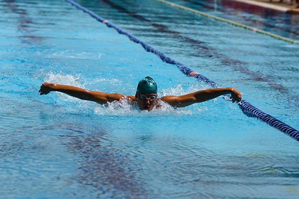 swimming calories